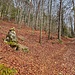 unterer Einstieg (grosser Steinhaufen) zum Eulengrat & alte Eule