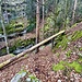 Clubwägli
