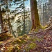Thor's Zwillinge<br />oberer Einstieg in den Clubwäg<br />