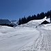 Gut präpariert