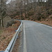 in chiusura dell'anello