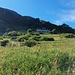 Die Blumenwiese unterhalb der Malga Zovel