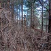 Am höchsten Punkt des Herzigen Bergels, nicht besonders freundlich.