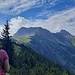 Blick vom Zirleseck Richtung Gaishorn und Rauhhorn