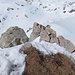Heller Dolomit auf dem Muot Cotschen