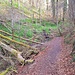 Spetzgarter-Tobel