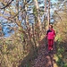 Lauschiger Pfad über hohen Molassewänden