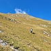 Abstieg über die steilen Wiesenhänge