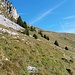 Die Wiesenhänge nach Verlassen des Waldstückes, unten rechts ist der Pfad erkennbar