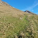 Weiter geht es über die Wiese bis zu der Kuhtränke