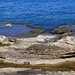 TAG 2 (1.3.) - بيروت (Bayrūt): <br /><br />Noch war das Wasser und die Lufttemperatur anfangs März zu kühl um im Mittelmeer zu baden.