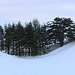 TAG 4 (3.3.): <br /><br />Bei der Anfahrt mit einem Taxi zur Skistation passierte ich auf etwa 1920m das UNESCO-Weltnaturerbe أرز الربّ (ʼArz ar Rabb). Die „Zedern des Herrn“ sind eine der letzten Bestände der früher weit verbreiteten Libanonzeder (Cedrus libani). Die Wälder wurden schon seit tausenden Jahren wegen des haltbaren Holzes gefällt. Der kleine Wald besteht heute aus 375 Bäumen, zwei sollen etwa 3000 Jahre alt sein und vier haben Stammumfänge von 12-14m und Höhen von über 35m.