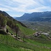 auf dem Höfeweg
