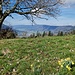 Bärner Jura.