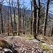 Im unteren Teil, ist der Wanderweg auch eine Abfahrtspiste für die Biker der Region.