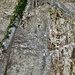 Die 50m-Wand von unten