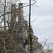 Kühn steht der Schillerstein am höchsten Felsen des Hörnle (670 m). Auf den ersten Blick erinnert das Bild beinahe an Schloss Lichtenstein.
