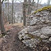 Schöner Waldtrail.