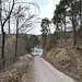 Runter ins Blautal. Hier könnte man auch problemlos rechts abbiegen und auf halber Höhe nach Gerhausen zurückwandern. Ich entscheide mich aber, auf die andere Talseite zu wechseln, um einen Überblick über die Gratwanderung zu bekommen.