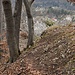 Der weitere "Gratverlauf". Im Mittelgrund ein weiterer schöner Fels mit Aussicht.