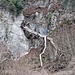 Rustikale Natur, teils sind die abschüssigen und trockenen Hänge von Sturmschäden gezeichnet.