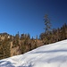 bei der Hölleralm