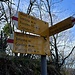 Sentiero per Monti Motti e Metri