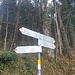 der Forstweg hoch zur Gsohlalpe kann auch abgekürzt werden, wir haben das erst im Abstieg gemacht.....