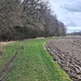 Am Waldrand entlang geht es in Richtung Ziel 