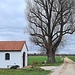 Kapelle mit großem Baum 