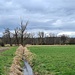 Einer von etlichen kleinen Wassergräben 