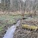 Kleiner Bach im Wald 