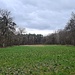Kleinräumige Landschaft 