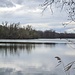 Großer Baarer Weiher 