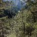 Blick ins Obergießbachtal.