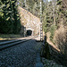 Wir queren die Trasse der [https://de.wikipedia.org/wiki/Schwarzwaldbahn_(Baden) Schwarzwaldbahn] zwischen Rollerwald-Tunnel (Bild) und Letschenberg-Tunnel. Nach Indianer-Art legen wir natürlich vorher ein Ohr auf die Schiene. Die fuchsige Trassierung dieser Bahnlinie macht im und um den heute begangenen Eisenberg übrigens eine von mehreren Kehrschleifen, zahlreiche Tunnel wurden dafür in den Berg gebohrt. Mit der Trassierung in Schleifenform wird Höhe gewonnen und damit der Schwarzwald südostwärts "überwunden".