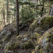 Auf dem Bruckfelsen-Buckel. Linkerhand weiter herab.