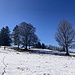 ... danach im leicht schneebedeckten Gelände ...