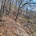 Am Köstenerberg kommt Bergwanderfeeling auf