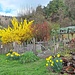 Bunter Bauerngarten