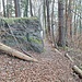 Nagelfluh begegnet dem Wanderer hier oben auch.