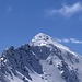 Surettahorn