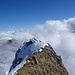Blick frei zur Oltschiburg