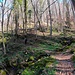 Rio Mulino