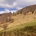 auf ca. 1030m