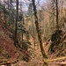 Blick nach vorne