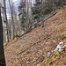 Hier mündet der Felsenweg in den Kretenweg vom Paradies. Trotz Steinmanöggel nahezu nicht erkennbar.