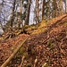 am Seil hinunterhangeln