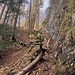 Blick zurück