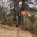 hinter dem Wegweiser ist der Einstieg